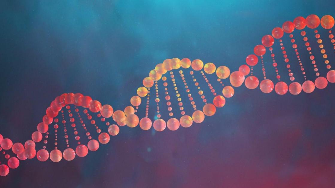 DNA Shearing Ultrasoon Systeem