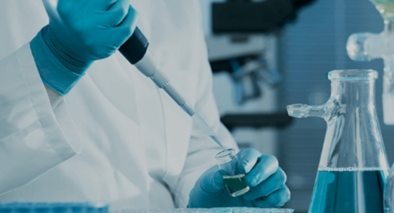 Voorgekleurde agarose elektroforesegel