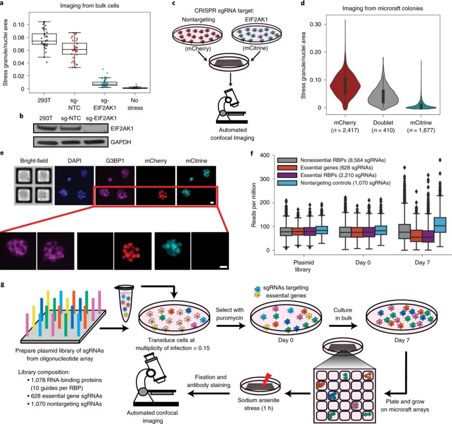 Farmaceutische laboratorium gelimager