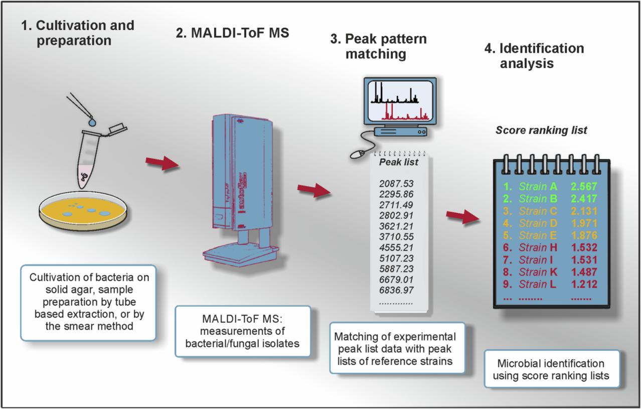 Gecontroleerd DNA-scheerinstrument