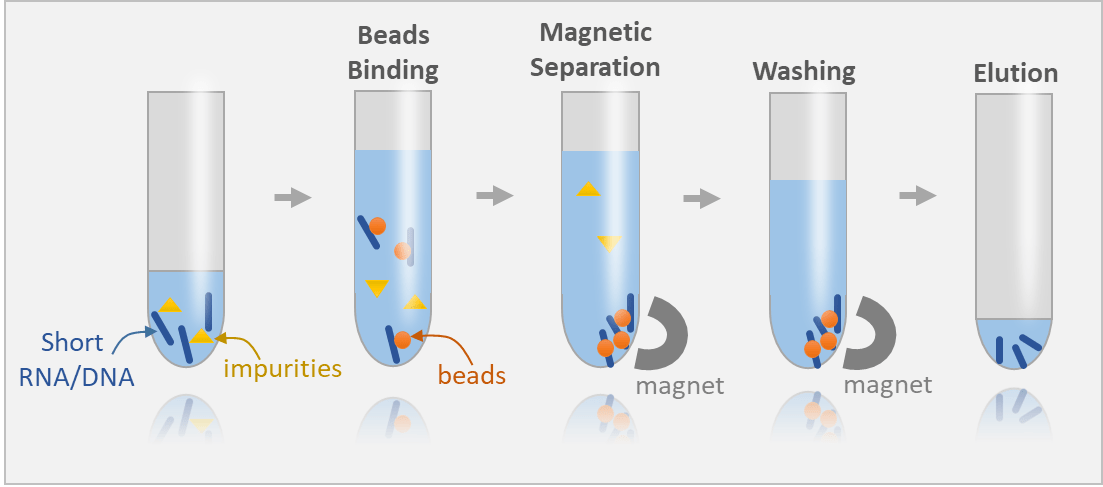 Magnetisch rek voor RNA-isolatie