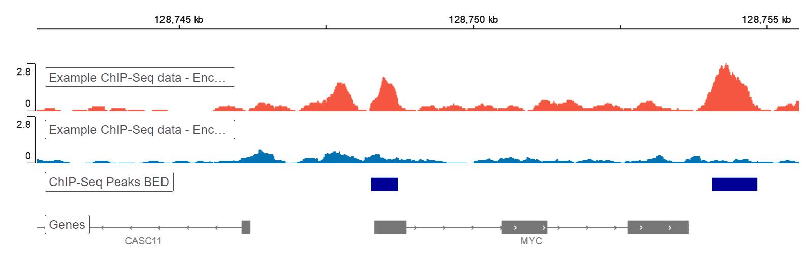 ChIP-Seq Data-analyse Pijplijn