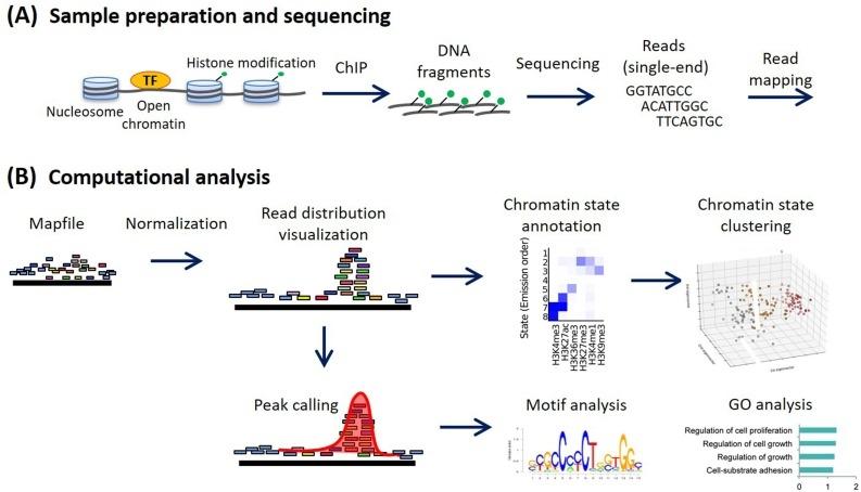 ChIP-Seq Probleemoplossing