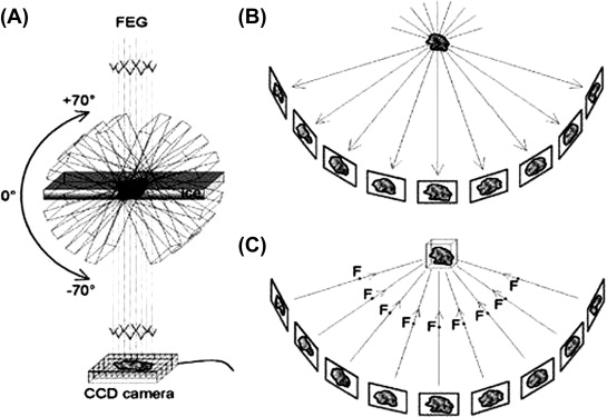 Cryo-elektrontomografie (Cryo-ET)