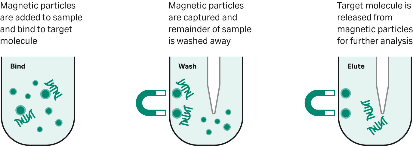 Magnetische Separator voor Nucleïnezuurzuivering