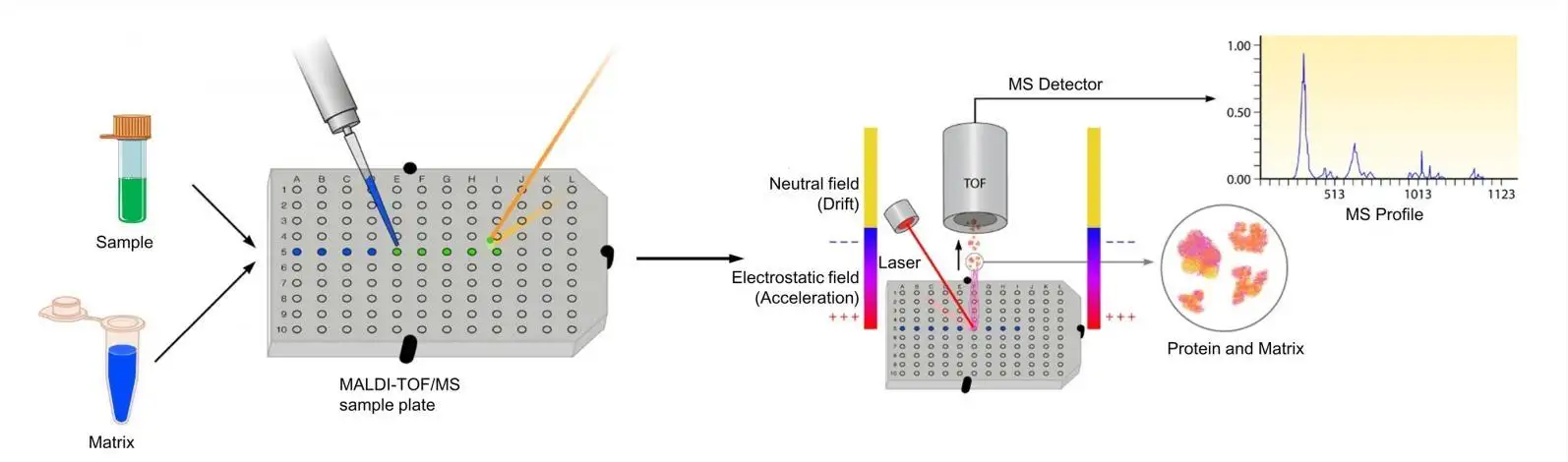 DNA-scheur-ultrasonicator