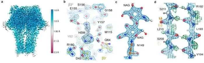 Hoge resolutie Cryo-Em