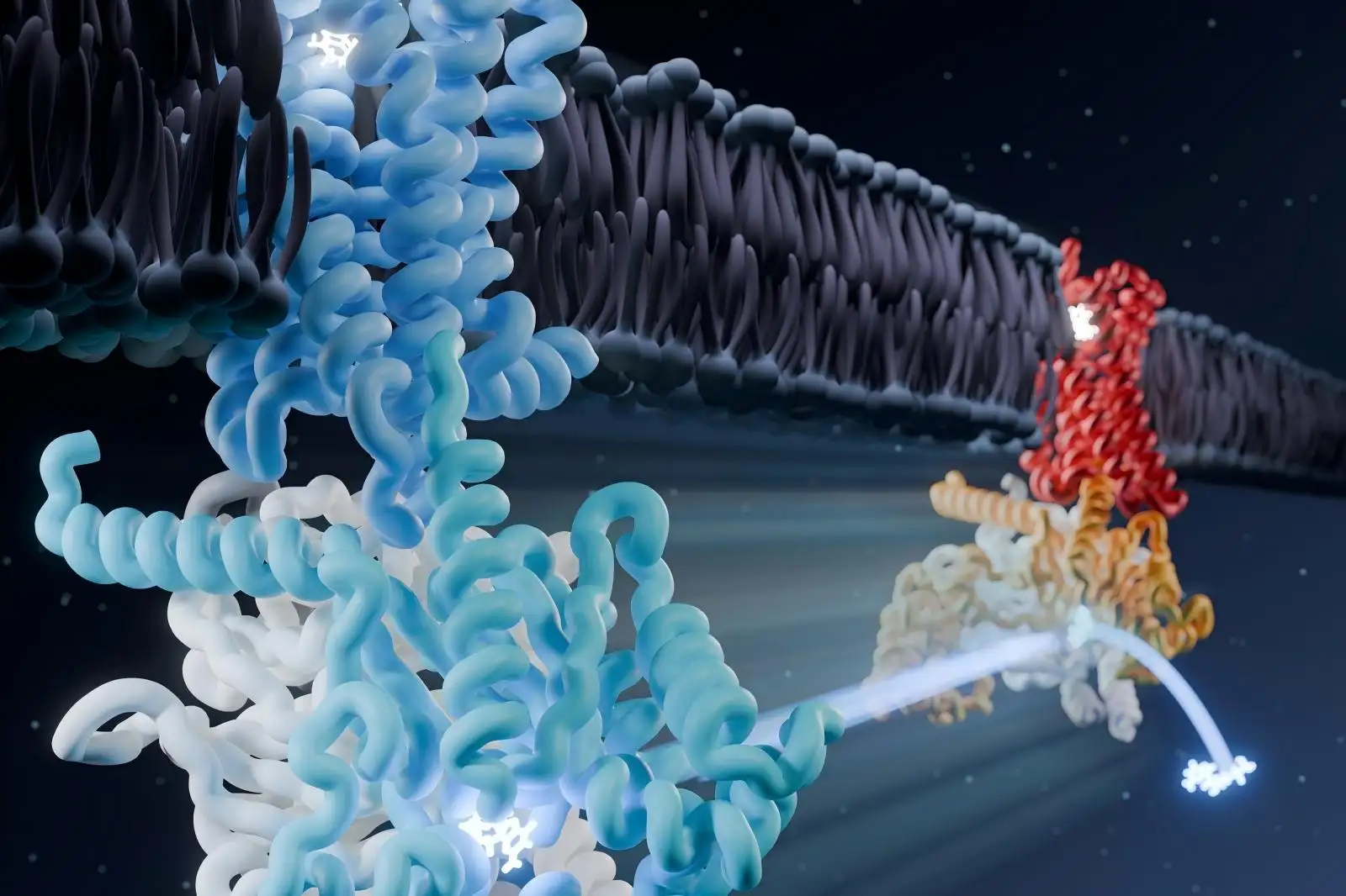Laboratorium Ultrasoon Geluidsenergieapparaat Supersnelle prefab gel voor gelelektroforese Magnetisch cel scheidingsapparaat DNA-fragmentatie DNA-elektroforese magnetische scheiding voor moleculaire biologie RNA gelimaging platform Magnetisch celseparatieapparaat GPCR membraaneiwitexpressie en zuivering Nucleïnezuurscavenger